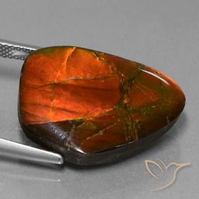 amolita Multicolor natural de 15.20 ct, Elegante, Opaco