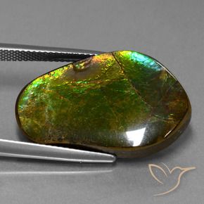 amolita Multicolor natural de 17.83 ct, Elegante, Opaco