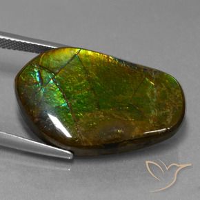 amolita Multicolor natural de 17.83 ct, Elegante, Opaco