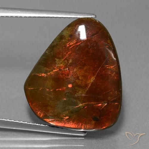 16.97ct Natural Multicolor amolita, Elegante, Opaco