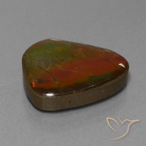 amolita Multicolor natural de 16.97 ct, Elegante, Opaco