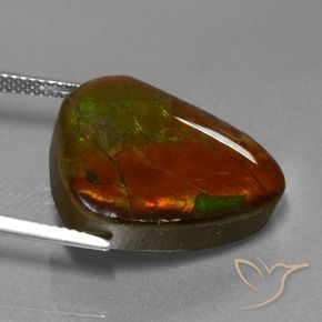 amolita Multicolor natural de 16.97 ct, Elegante, Opaco