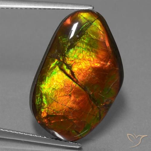 18.18ct Natural Multicolor amolita, Elegante, Opaco