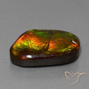 amolita Multicolor natural de 18.18 ct, Elegante, Opaco