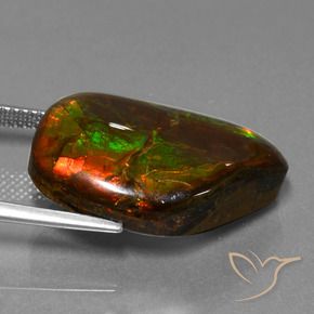 amolita Multicolor natural de 18.18 ct, Elegante, Opaco
