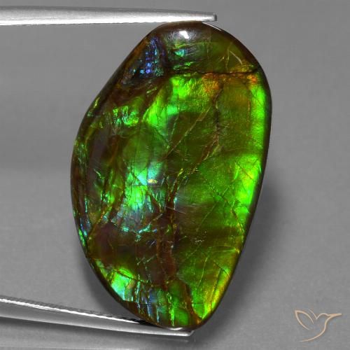 19.80ct Natural Multicolor amolita, Elegante, Opaco