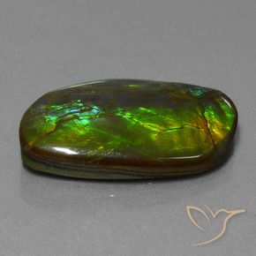 amolita Multicolor natural de 19.80 ct, Elegante, Opaco