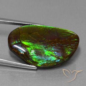 amolita Multicolor natural de 19.80 ct, Elegante, Opaco