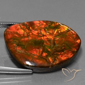 amolita Multicolor natural de 25.32 ct, Elegante, Opaco