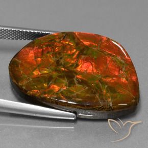 amolita Multicolor natural de 25.32 ct, Elegante, Opaco