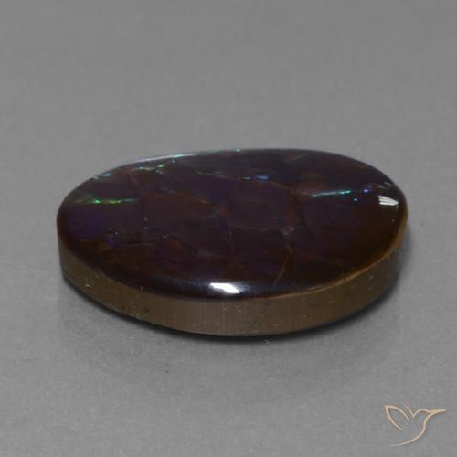 amolita Multicolor natural de 14.02 ct, Elegante, Opaco