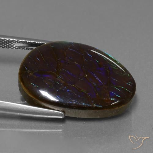 amolita Multicolor natural de 14.02 ct, Elegante, Opaco