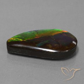 amolita Multicolor natural de 18.29 ct, Elegante, Opaco