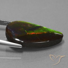 amolita Multicolor natural de 18.29 ct, Elegante, Opaco