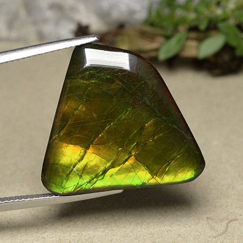 18.57ct Natural Multicolor amolita, Elegante, Opaco