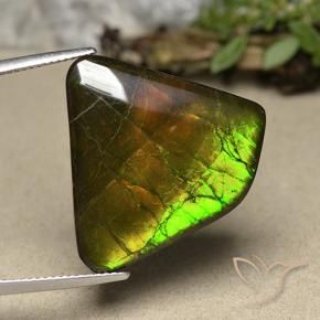 amolita Multicolor natural de 18.57 ct, Elegante, Opaco