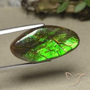 amolita Multicolor natural de 12.62 ct, Elegante, Opaco