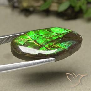 amolita Multicolor natural de 12.62 ct, Elegante, Opaco
