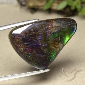 amolita Multicolor natural de 21.94 ct, Elegante, Opaco