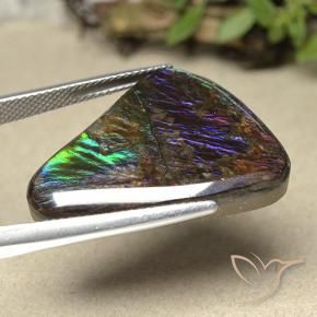 amolita Multicolor natural de 21.94 ct, Elegante, Opaco
