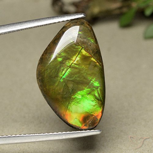 11.44ct Natural Multicolor amolita, Elegante, Opaco