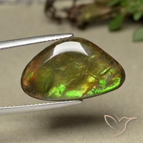 amolita Multicolor natural de 11.44 ct, Elegante, Opaco