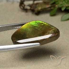 amolita Multicolor natural de 11.44 ct, Elegante, Opaco
