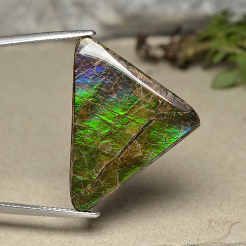 20.55ct Natural Multicolor amolita, Trillón, Opaco