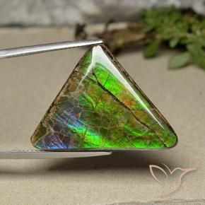 amolita Multicolor natural de 20.55 ct, Trillón, Opaco