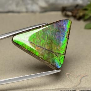 amolita Multicolor natural de 20.55 ct, Trillón, Opaco