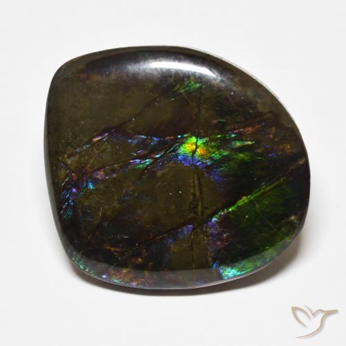 22.71ct Natural Multicolor amolita, Elegante, Opaco