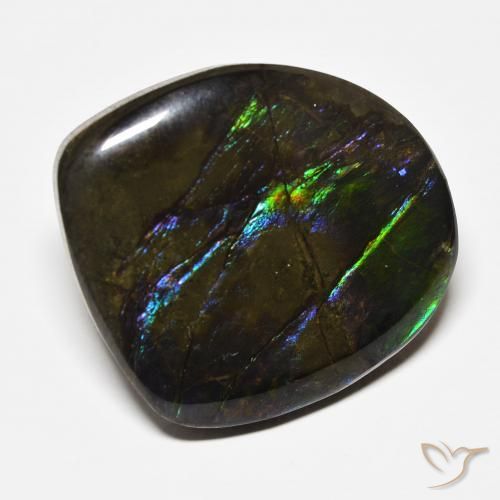 amolita Multicolor natural de 22.71 ct, Elegante, Opaco