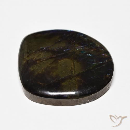 amolita Multicolor natural de 22.71 ct, Elegante, Opaco