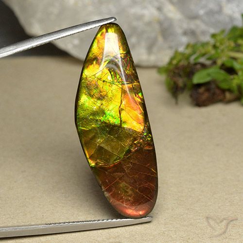 22.66ct Natural Multicolor amolita, Elegante, Opaco