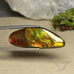 amolita Multicolor natural de 22.66 ct, Elegante, Opaco