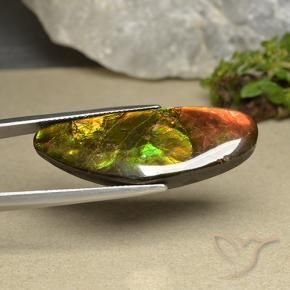 amolita Multicolor natural de 22.66 ct, Elegante, Opaco