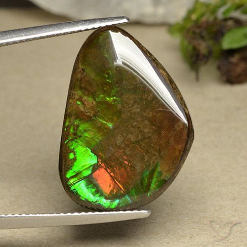 14.98ct Natural Multicolor amolita, Elegante, Opaco