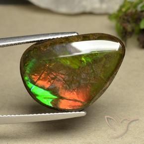 amolita Multicolor natural de 14.98 ct, Elegante, Opaco