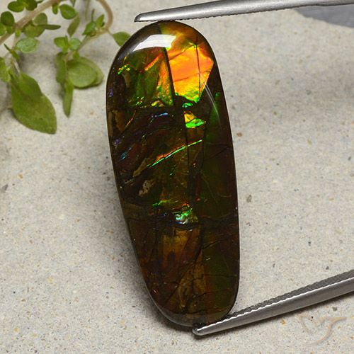 19.11ct Natural Multicolor amolita, Elegante, Opaco