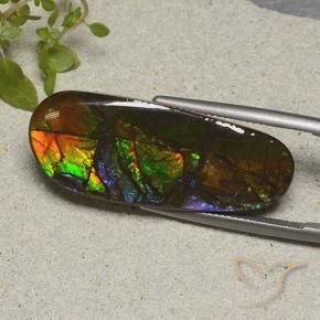 amolita Multicolor natural de 19.11 ct, Elegante, Opaco