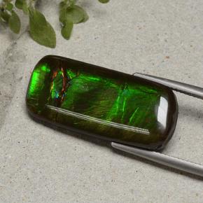 amolita Multicolor natural de 18.74 ct, Corte Cojín, Opaco