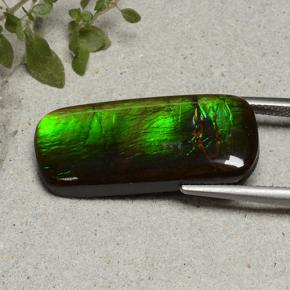 amolita Multicolor natural de 18.74 ct, Corte Cojín, Opaco