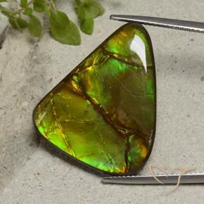 amolita Multicolor natural de 22.87 ct, Elegante, Opaco