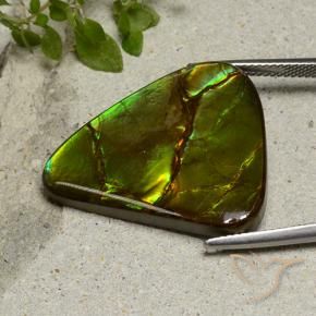 amolita Multicolor natural de 22.87 ct, Elegante, Opaco