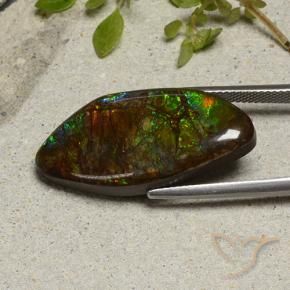 amolita Multicolor natural de 20.58 ct, Elegante, Opaco