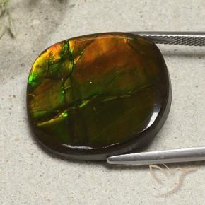 amolita Multicolor natural de 21.57 ct, Forma Cojín, Opaco