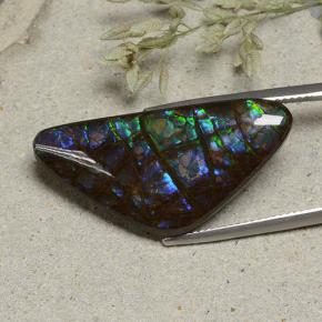 Ammolita multicolor natural de 19,94 ct, forma elegante, opaco
