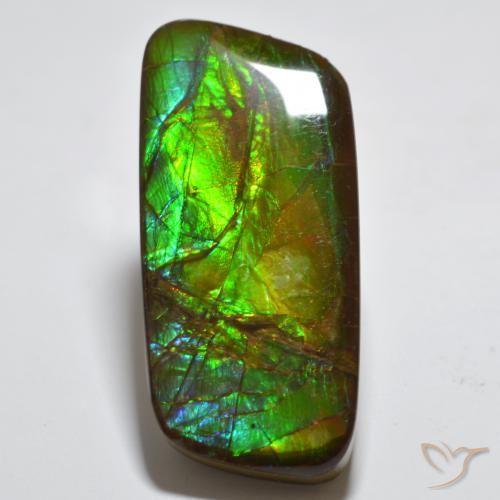 23.38ct Natural Multicolor amolita, Elegante, Opaco