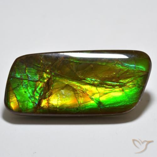 amolita Multicolor natural de 23.38 ct, Elegante, Opaco