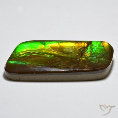 amolita Multicolor natural de 23.38 ct, Elegante, Opaco